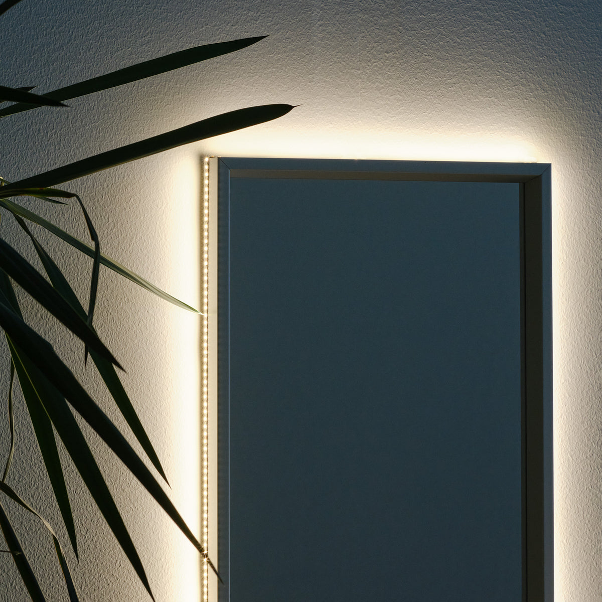 Led-nauha FTLIGHT S-type 6W/m, 24V, IP20, 5m